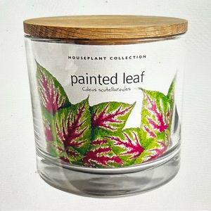 Painted Leaf Houseplant Kit by Potting Shed